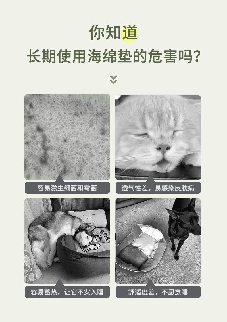 ea067186-076c-405e-9615-0803a2cedb45.jpe