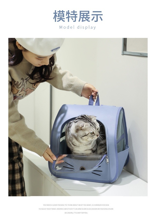 34f69937-dffb-49c5-99c6-eb3bdc16fa4c.jpe