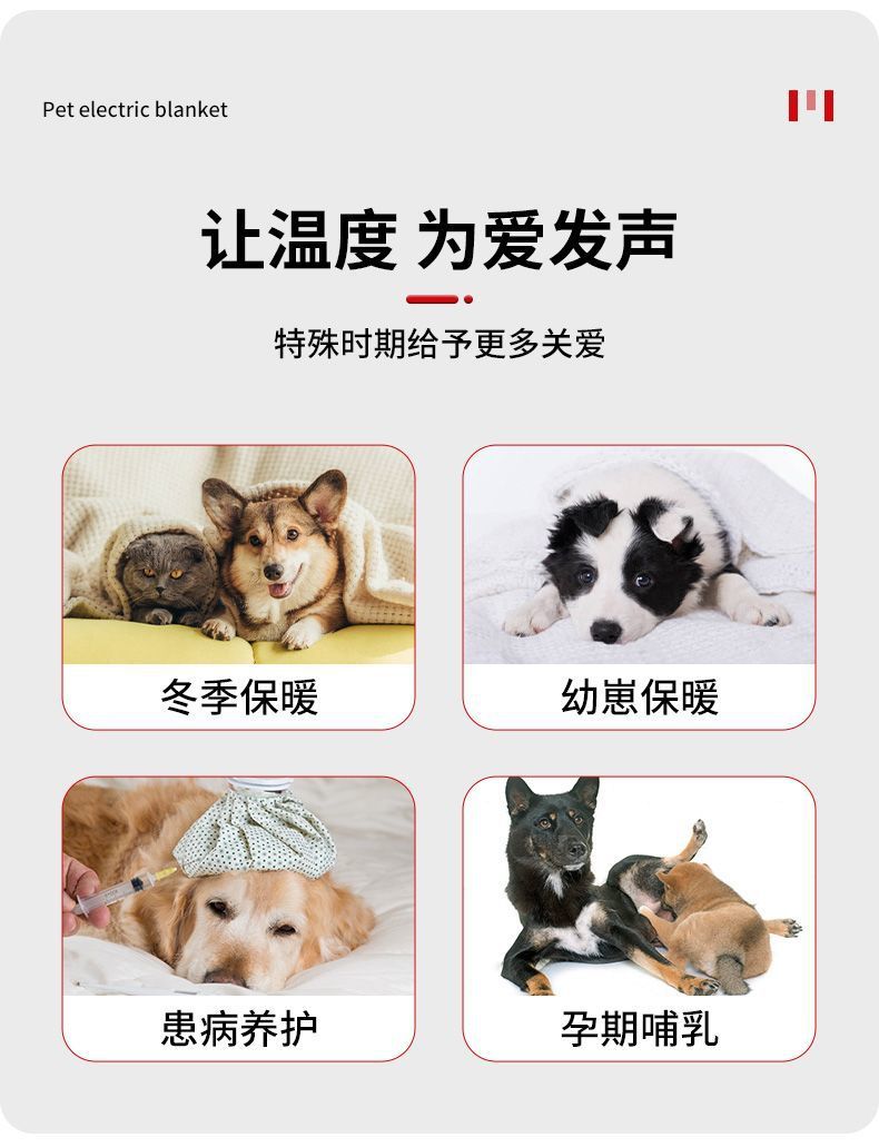 a9e1979d-24bb-4b42-8a8f-7e642dacab18.jpe