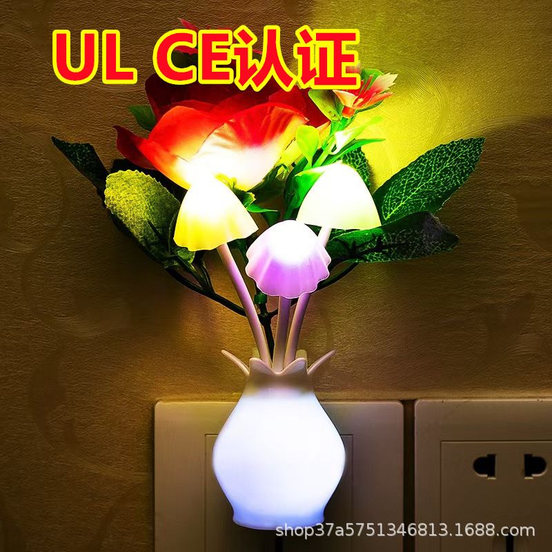 微信图片_20241225012637