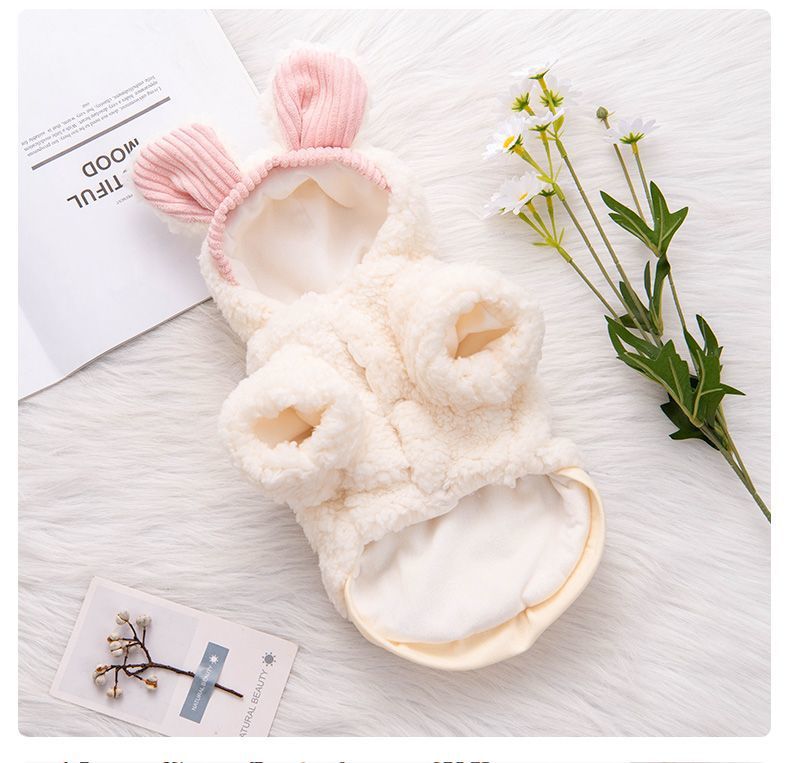 ee529941-f7d4-48ab-a02b-4f2f9b25972f.jpe