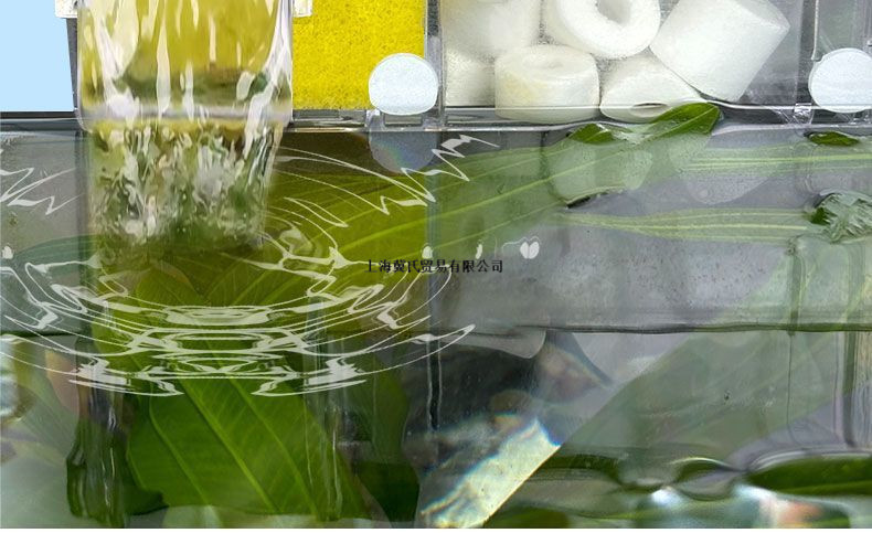 2925e806-29be-487d-920a-5d6ee01f6bfa.jpe