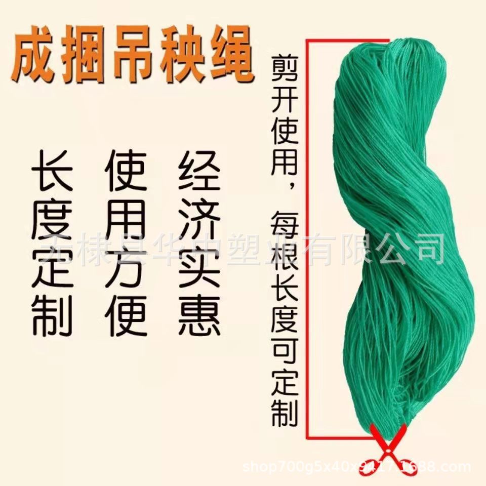 微信图片_20211101170246.jpg