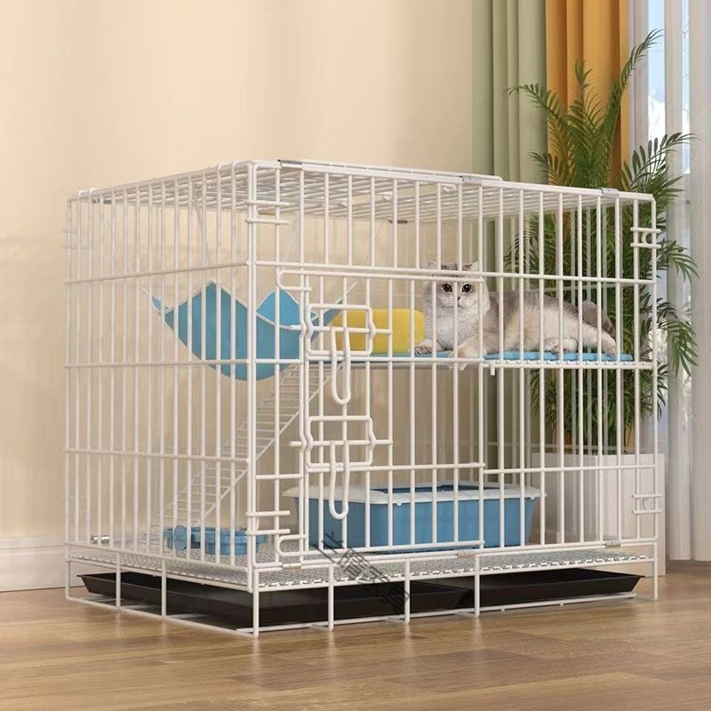 c4833bef-c561-4435-be65-4c171e9cc8a9.jpe