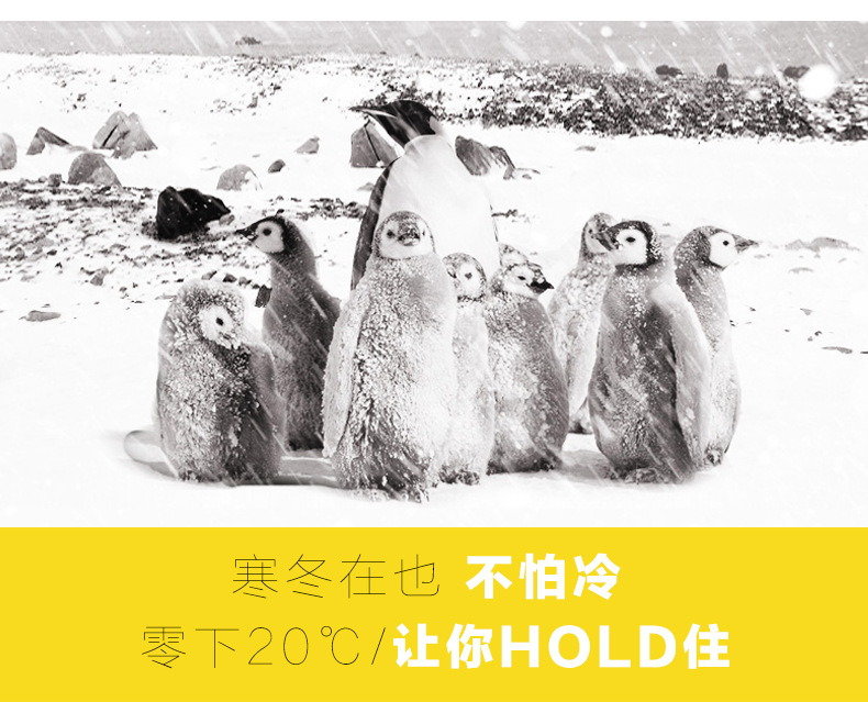 棉衣_02.jpg