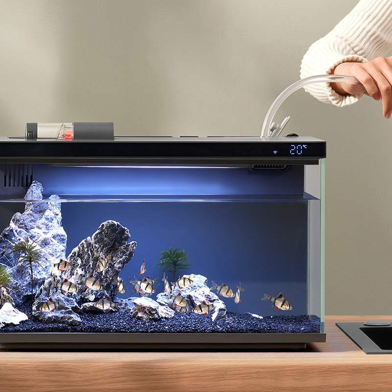 74692dc5-e070-4203-ad3b-92c1b55b654c.jpe