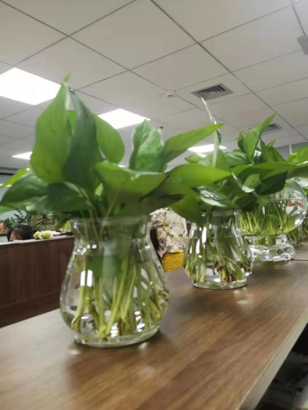 18b9a05d-ec9f-4546-9032-c7042db00191.jpe