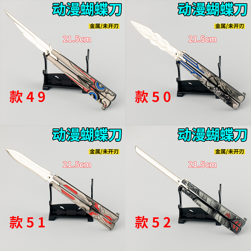 p13.jpg