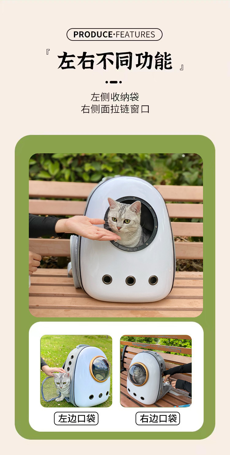 23105bc5-7e26-48b4-acc4-73e5e4c67c7b.jpe