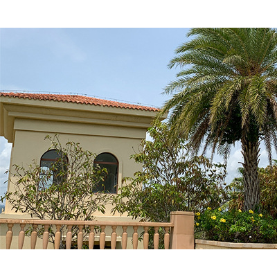 O1CN01DflNrP1NeYNwmoLVx_!!2673