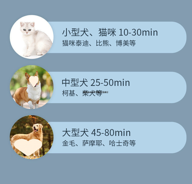 4f906f6d-abfb-4c4d-8315-a9f5eb6ef885.jpe