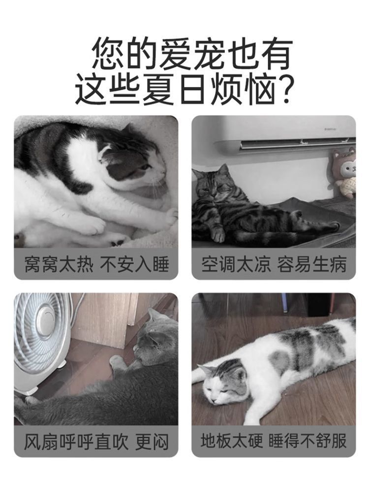 434b6d41-8fc2-4938-9b3a-391073a1028a.jpe