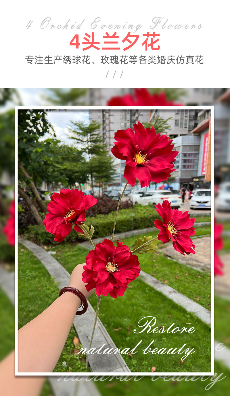 聚美4头兰夕花-详情_01.jpg