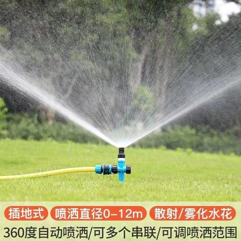 27abb788-06b9-43e1-89e2-5f87bca442a8.jpe