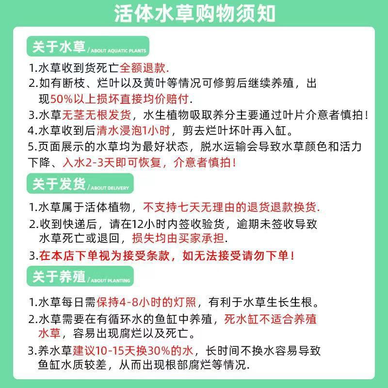 c1f19b94-1feb-440e-9e2e-f1b63abc4ab2.jpe