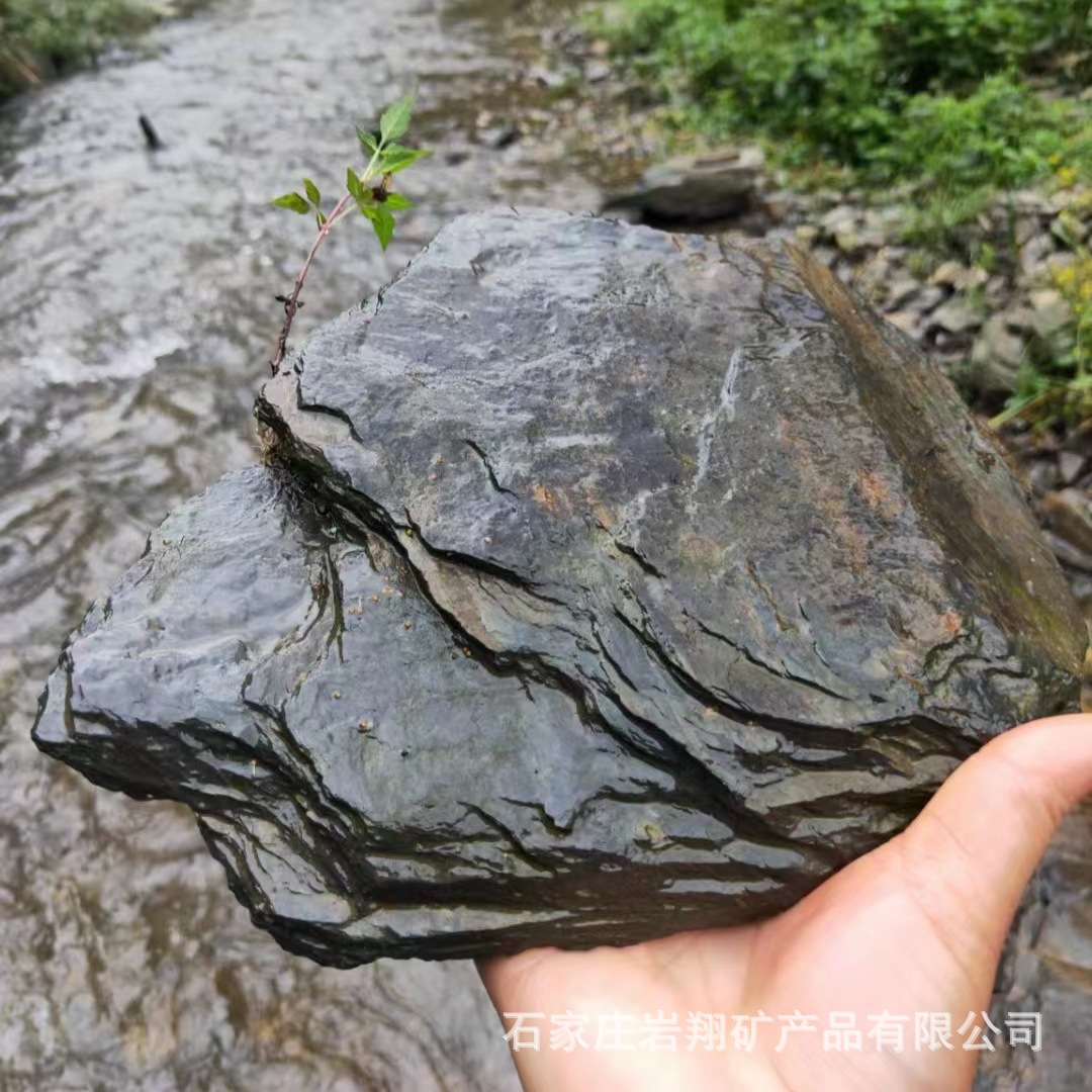 4658b423df07a47c443f6ed6d8bd1e