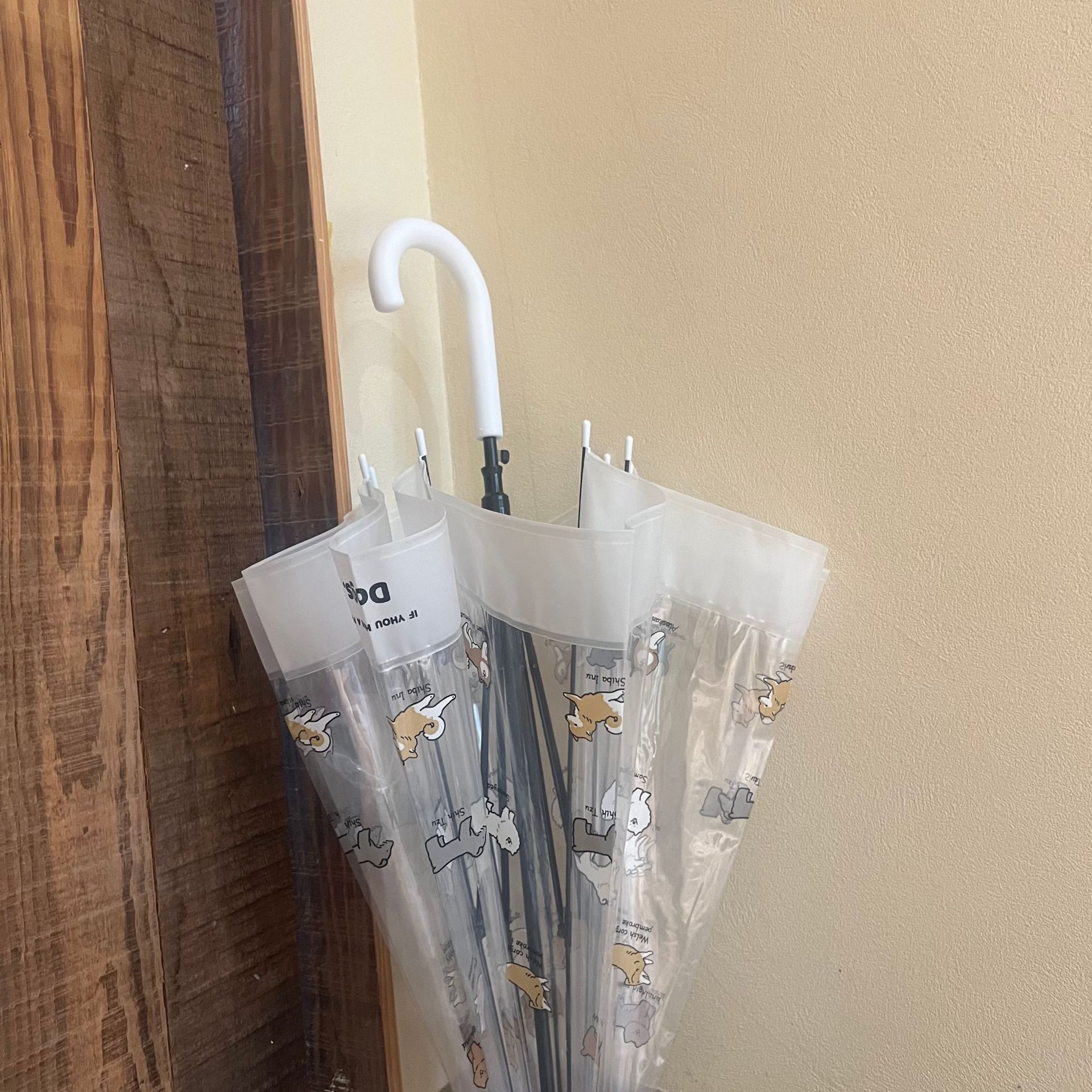 微信图片_20250806173630