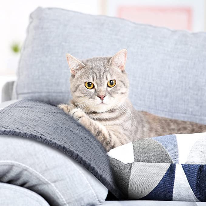 715CsIYG-AL._AC_SX679._SX._UX.