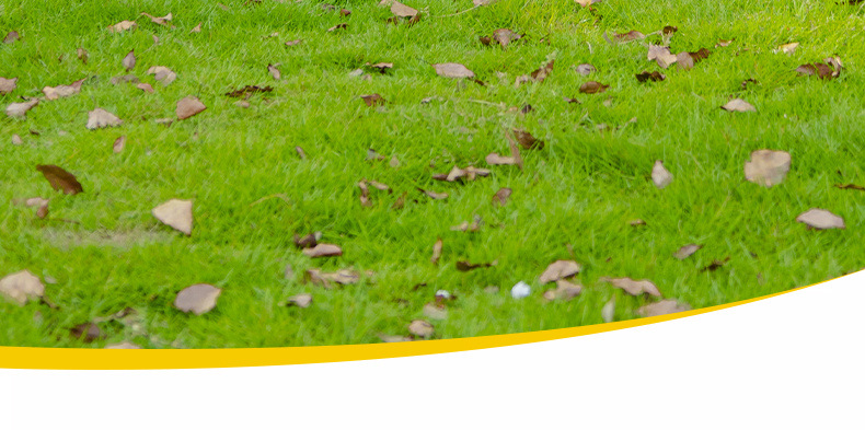 97e664a5-f3cd-424e-9195-0077f6f8a62f.jpe