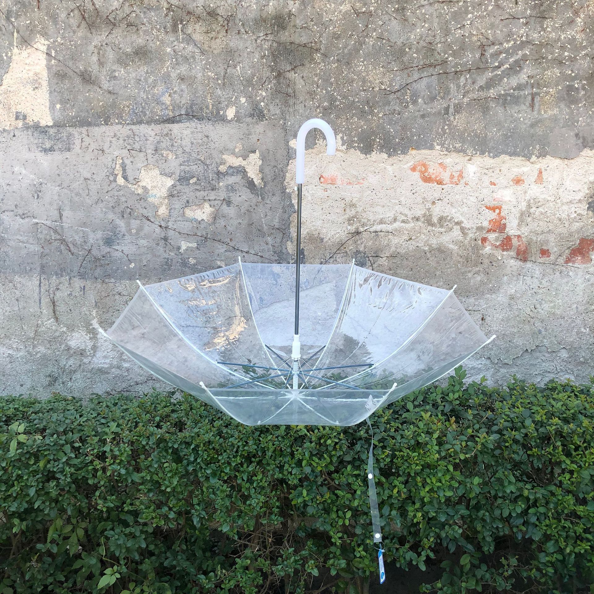 微信图片_20210106144728