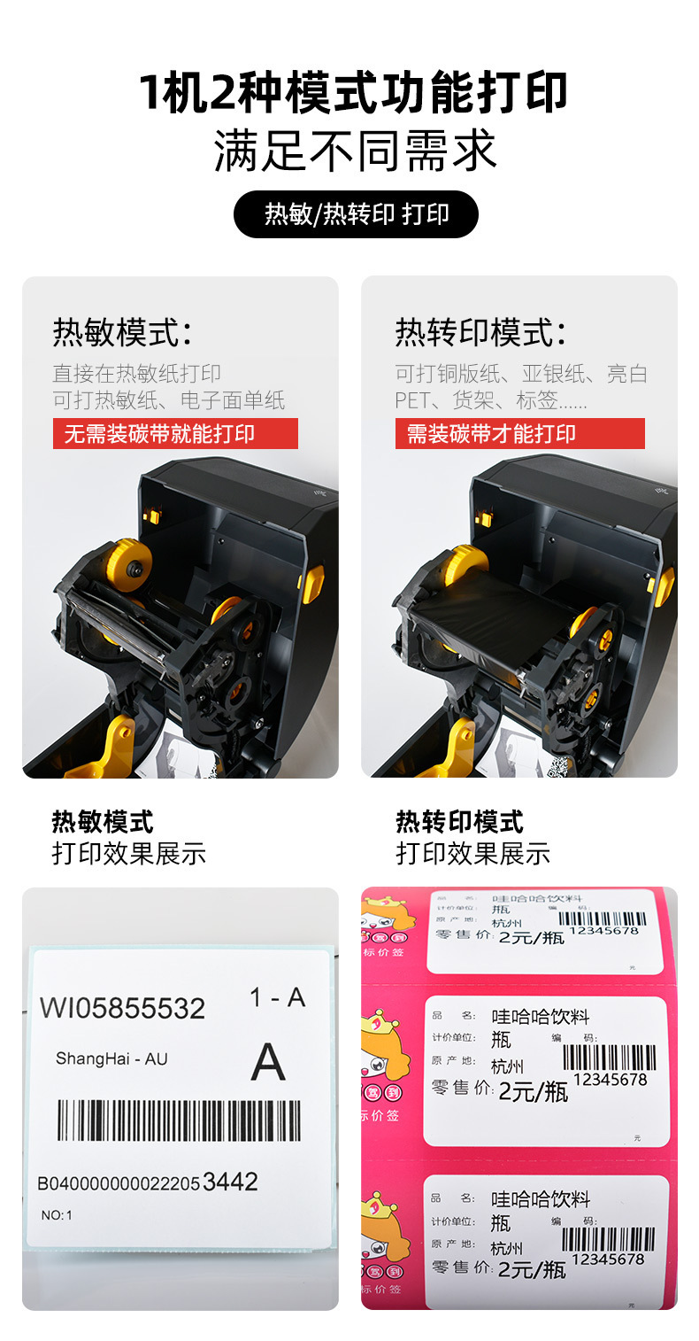 斑马_06.jpg