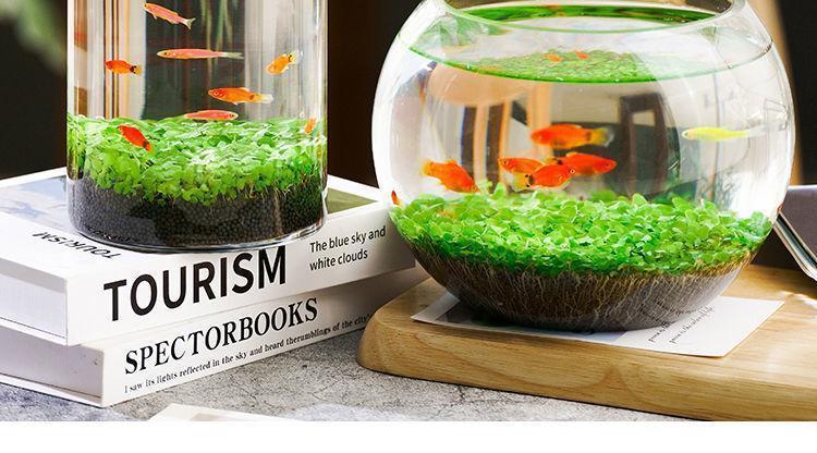 c74e8076-b901-4f3d-b4fc-6e9a8b96b01e.jpe