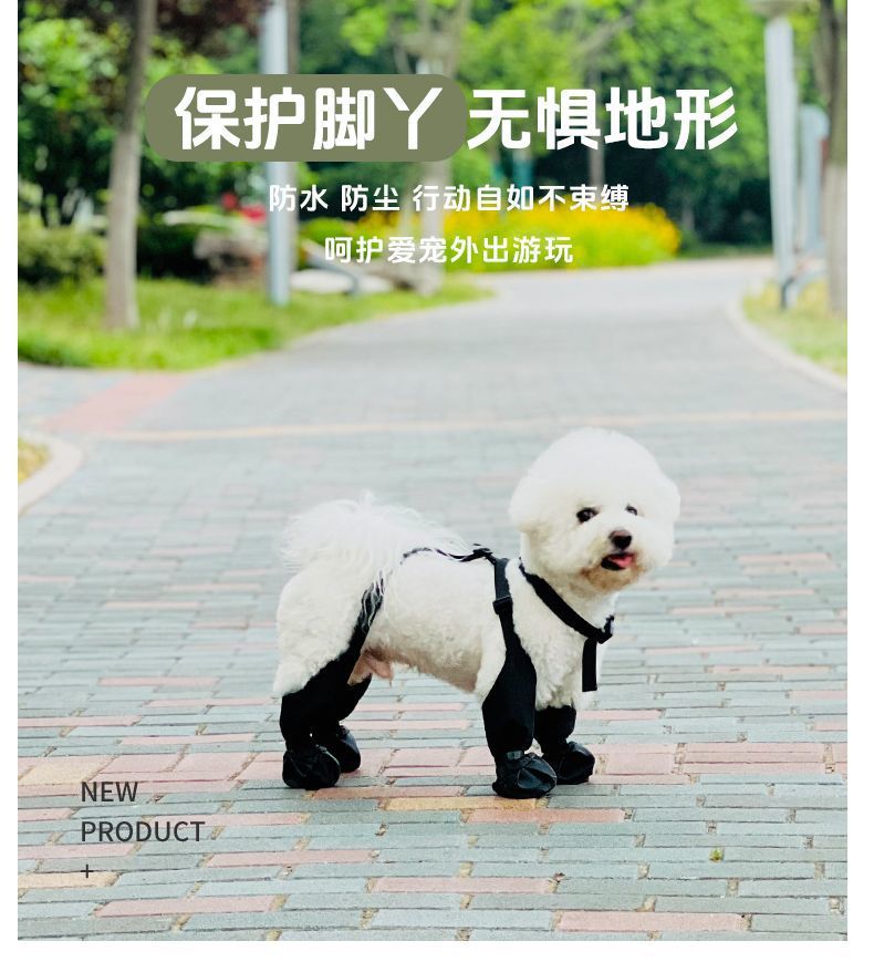 a5163a29-edb3-4477-9d70-226e85c5c802.jpe