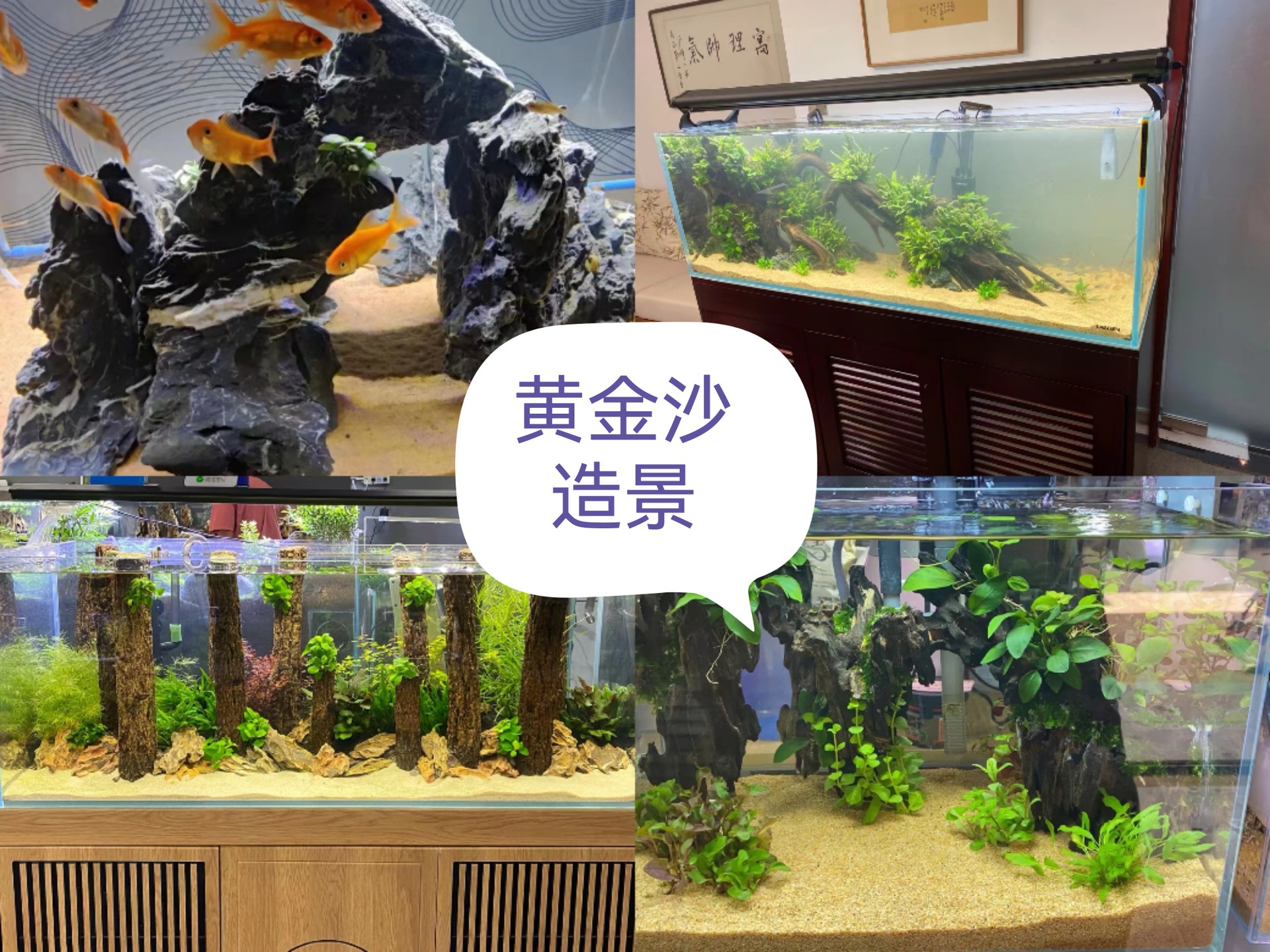 Collage_20221223_134050_edit_2