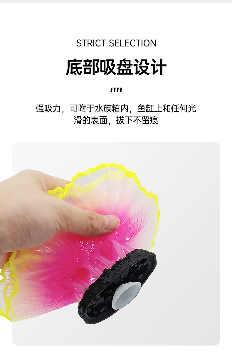生菜珊瑚详情_04.jpg
