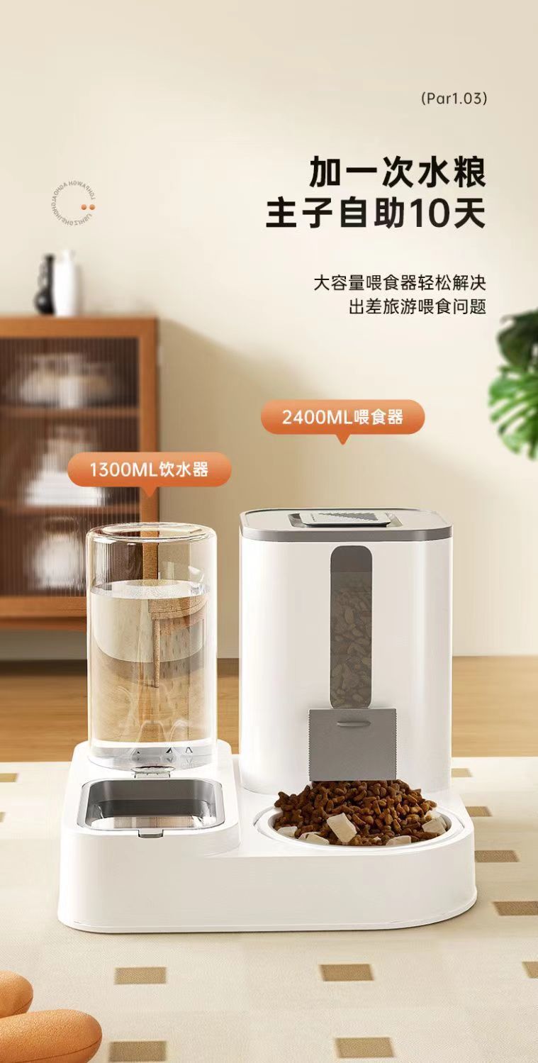 dd4a9928-6b5b-4ecf-9835-eafbfb40caf7.jpe