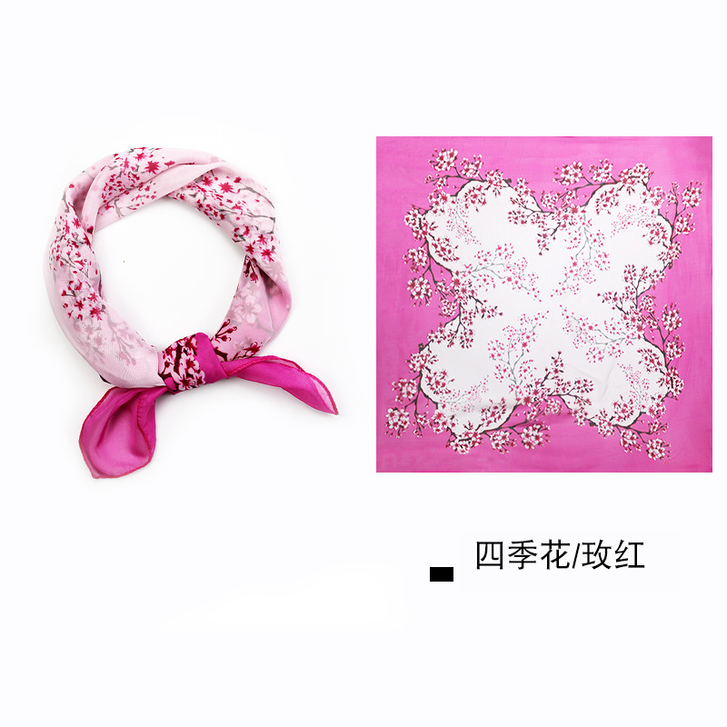 四季花玫红