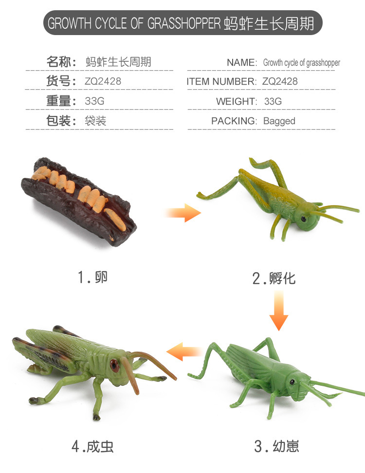 详情_02.jpg