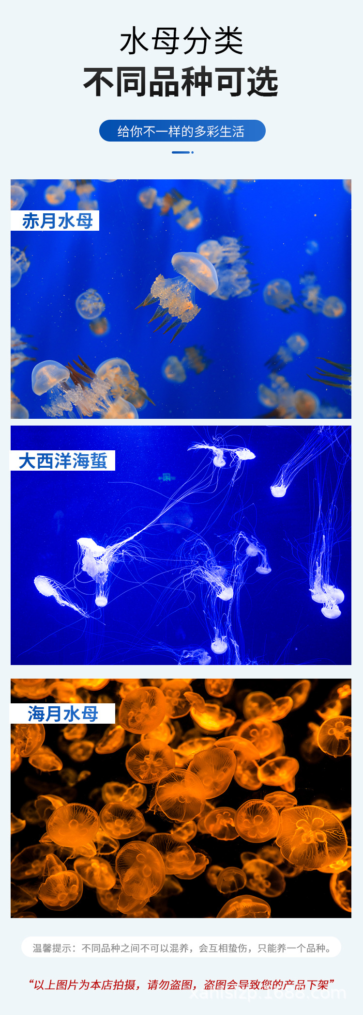 详情_08.jpg