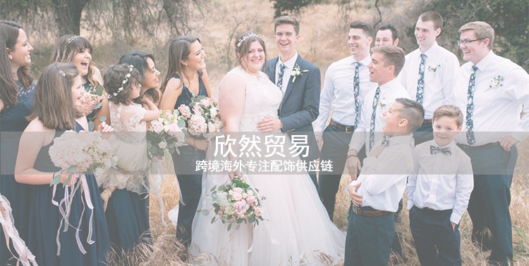 跨境海外 专注男装领带，领结，口袋巾供应链