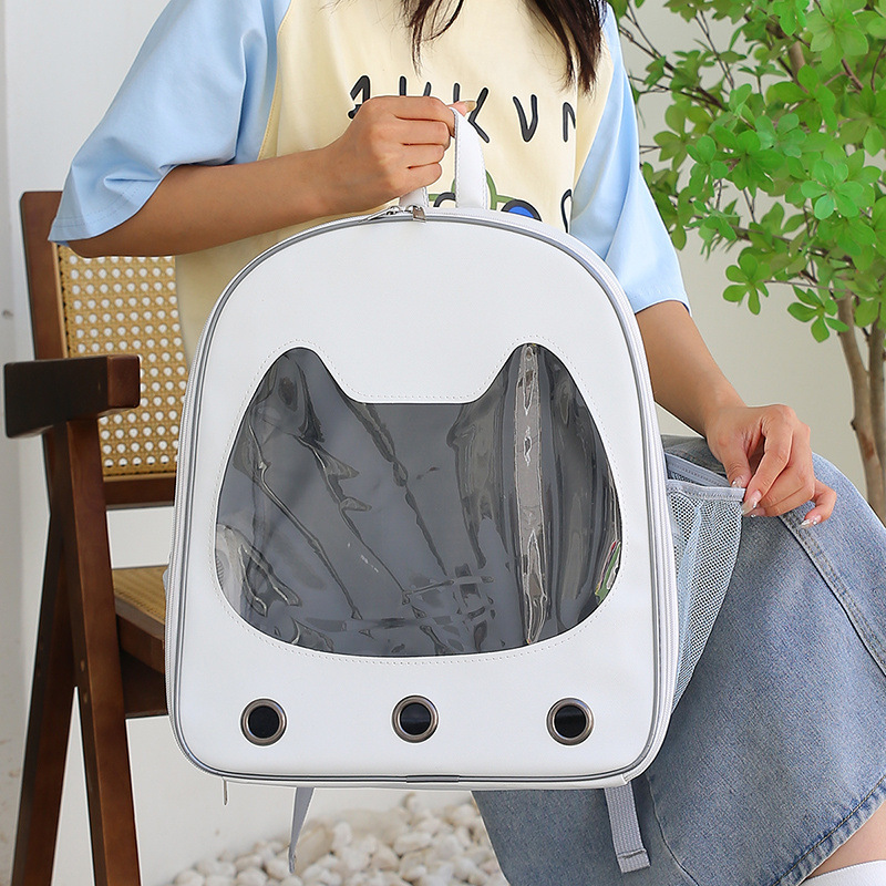 1010ce1b-5390-4a8c-a3d8-ac779456e1a5.jpe