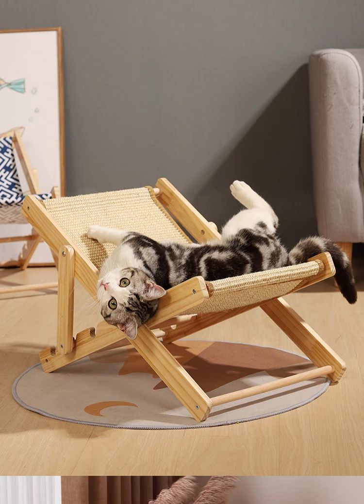 d50a7ef6-3139-48ea-9b8e-5f9ce4ce1a45.jpe