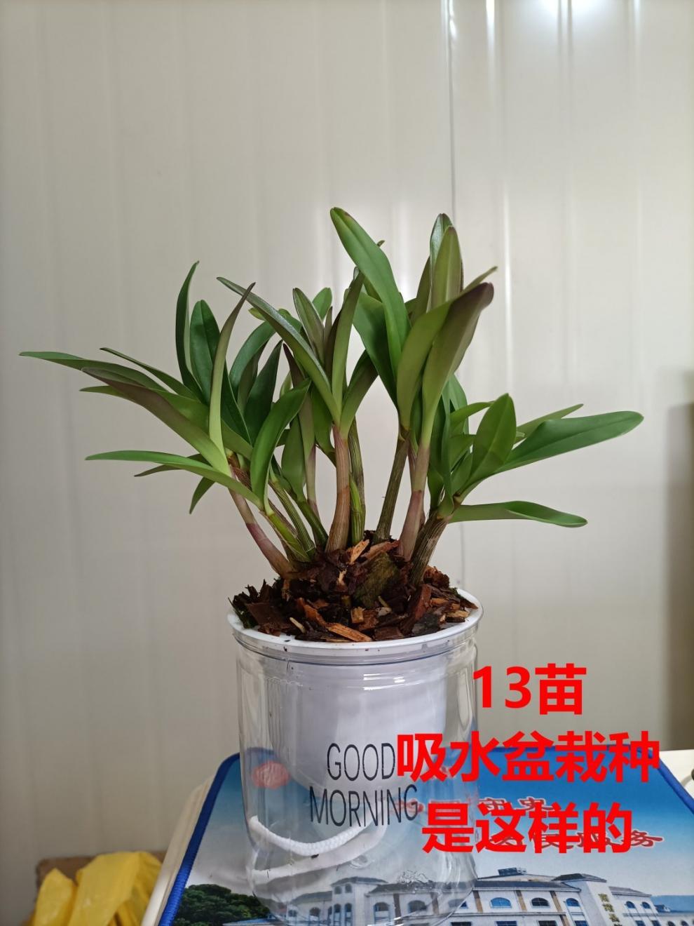 ae5b55a448c4abe83bd22b9302649681.jpeg