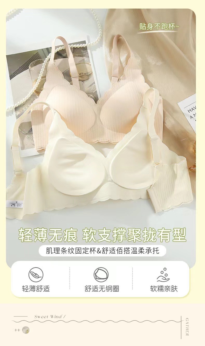 微信图片_20240728180131.jpg