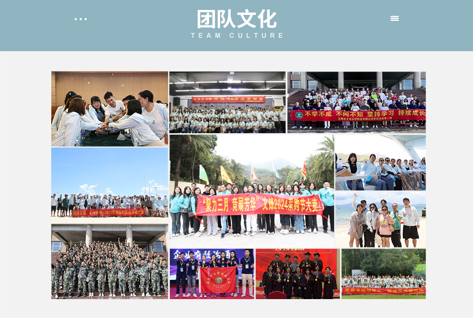 16.团队文化
