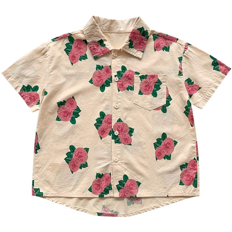 5_511187490049098280