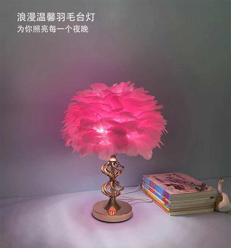 T6002羽毛台灯详情图_01.jpg