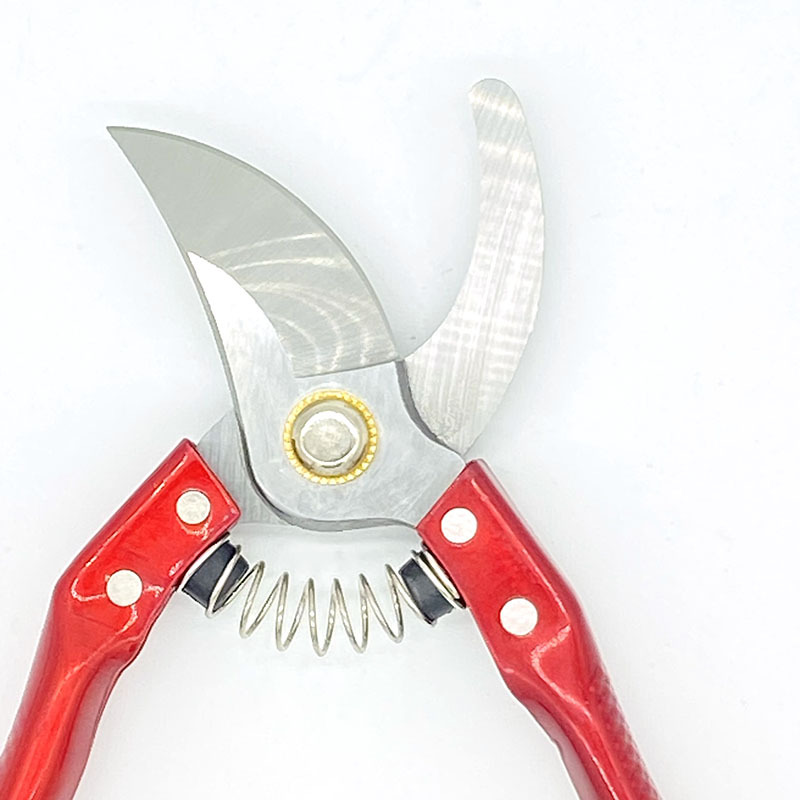 902b748ef0ac3becfc588477b9b944