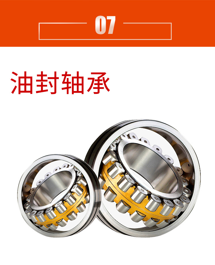D900（3L）_11.jpg