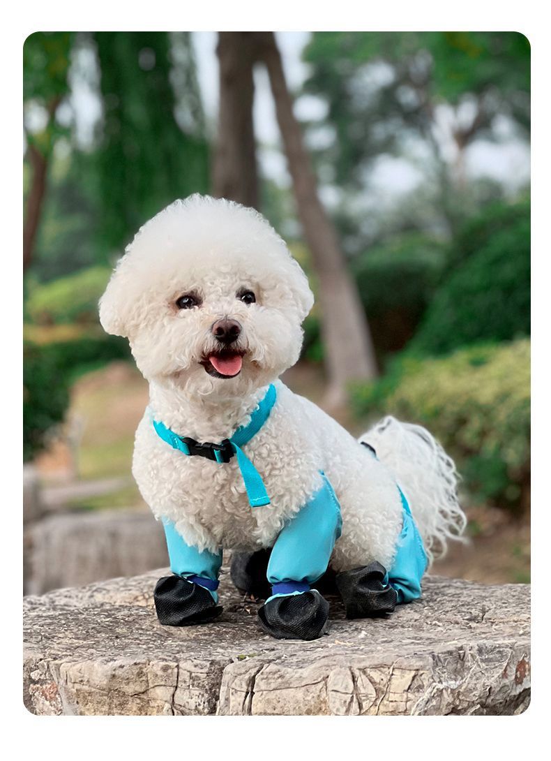 d888d8d3-75de-4165-bda6-09f73d0321d7.jpe