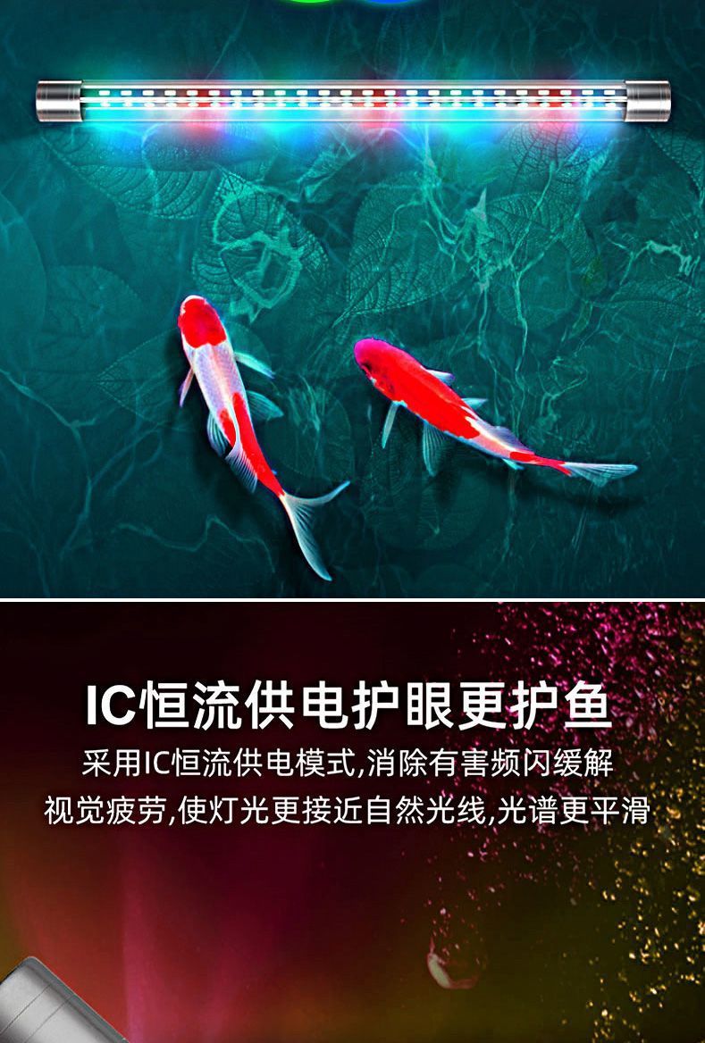 077e486c-8ca1-4832-8700-ae97335c1b14.jpe