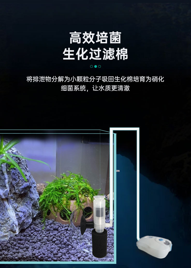 未标题-1_05.jpg