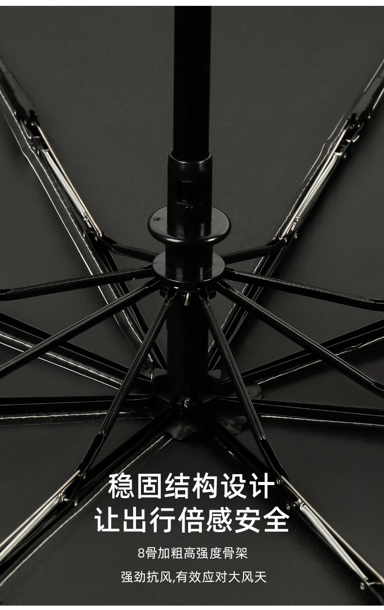 恐龙详情_10
