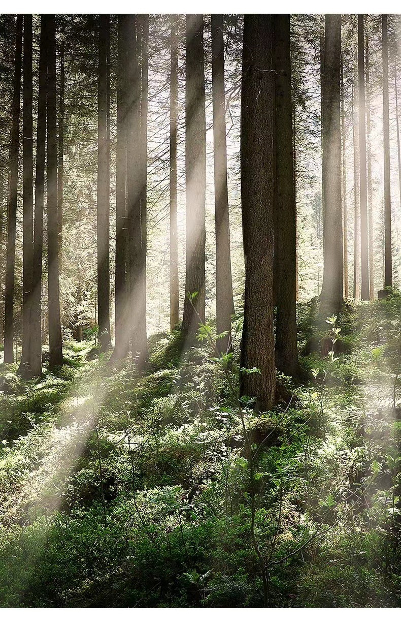 9d169128-d259-4a61-9e57-3414ea096ab3.jpe