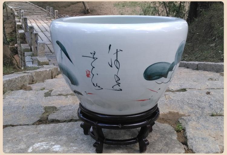 46cbb069-c3b2-467a-b855-5b5806476efd.jpe