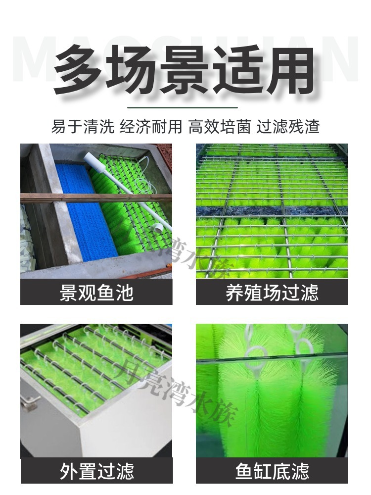 81d0d3b0-85f9-4622-9c7c-ed601144b977.jpe